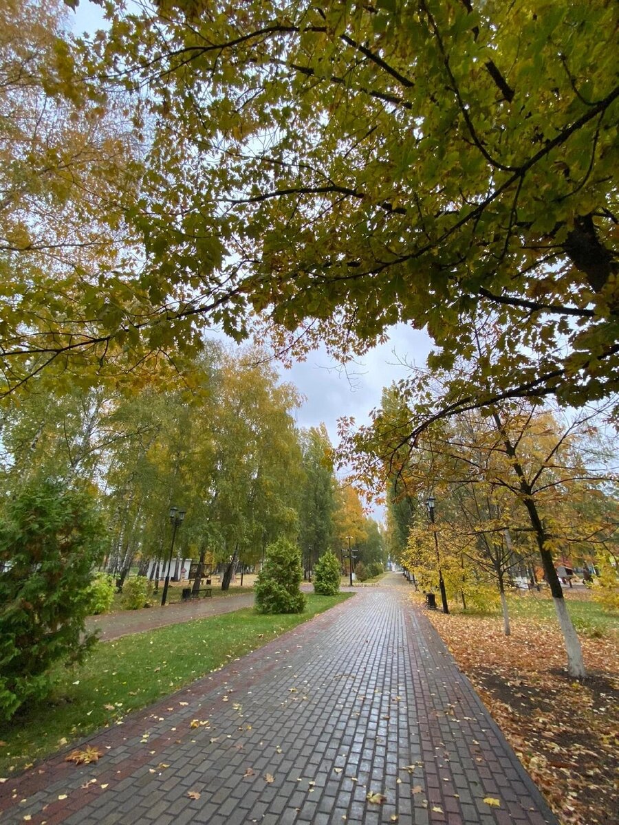 Из открытых источников.