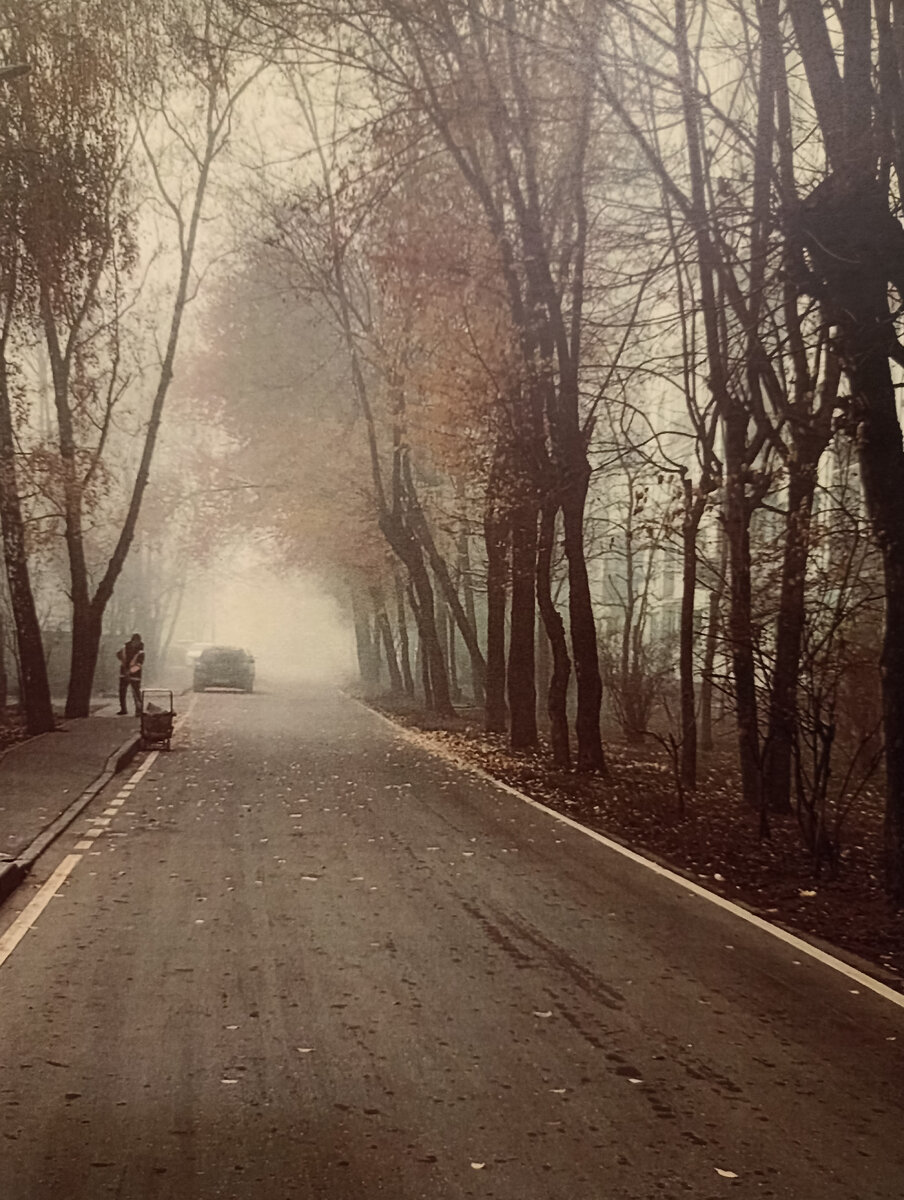 Фото Г. Алиреза Мирхоссейни.