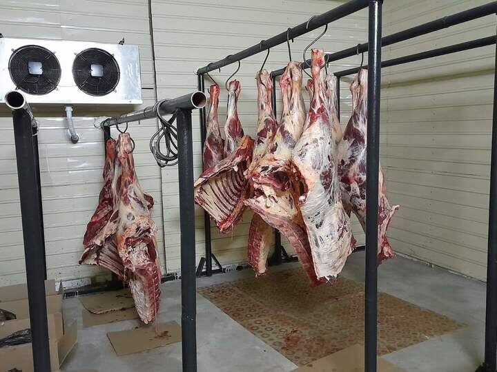     фото пресс-службы администрации АБО