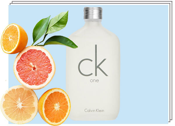     CALVIN KLEIN ck one