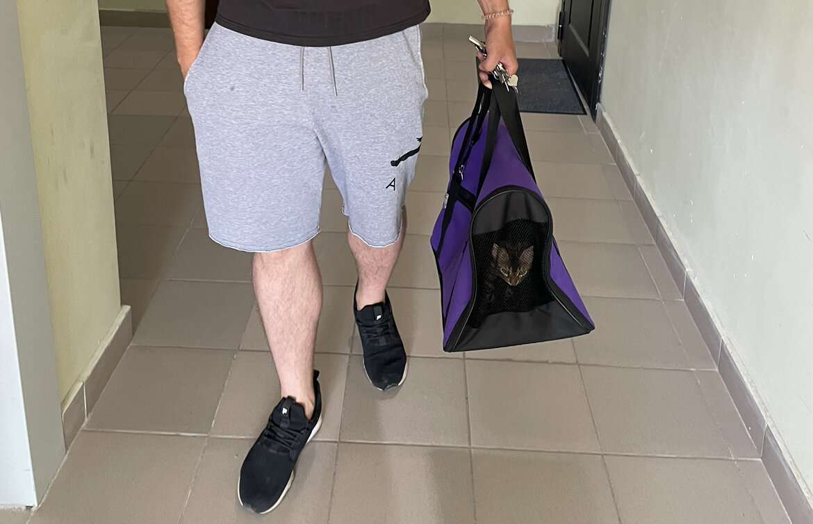 Переноска в жизни. 