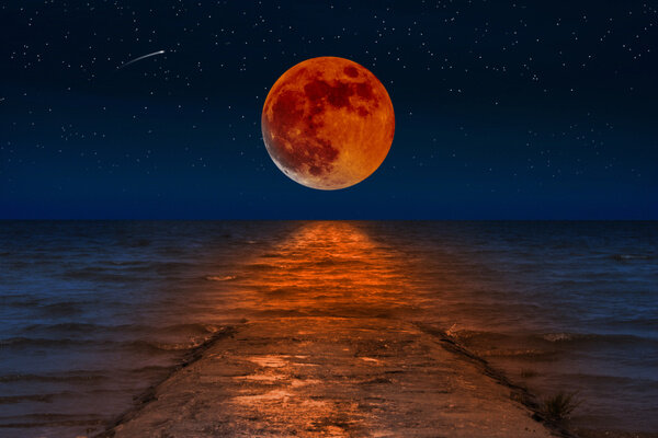 Обложка © Shutterstock