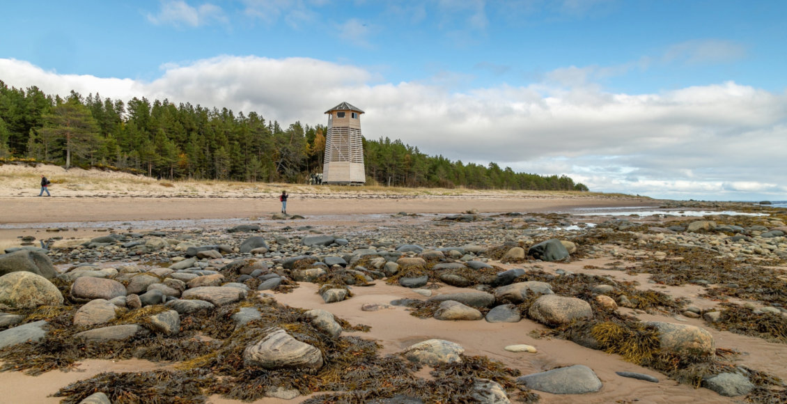    Фото: mnr.gov.ru