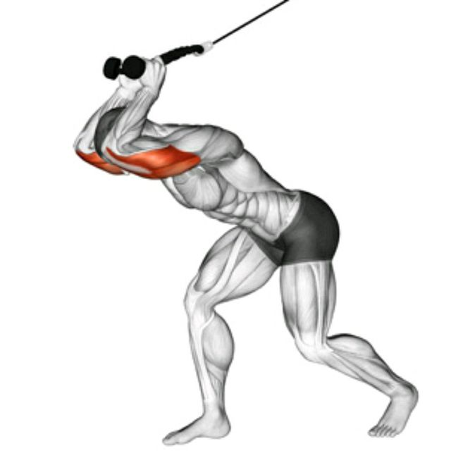 Cable overhead Triceps Extension. Упражнения на трицепс. Cable Tricep overhead Extension with Rope. Французский жим трицепс блок.