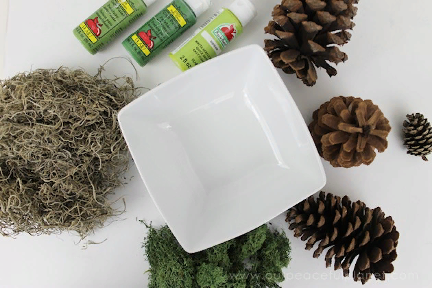 Материалы для изготовления композиции "кактусов" из сосновых шишек