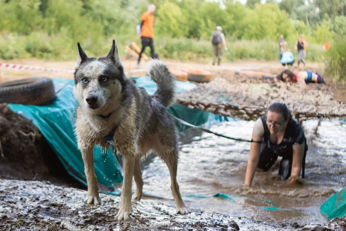 Простите, но я не давал согласия на такое!