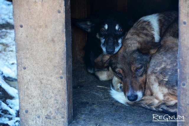    Вместе — теплее Марина Каширская © ИА REGNUM