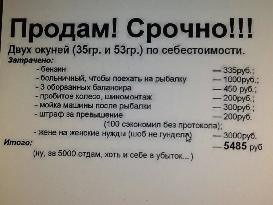 Фраза работать. Приколы про работу. Анекдоты про работу. Цитаты про работу смешные. Приколы про работу в картинках.