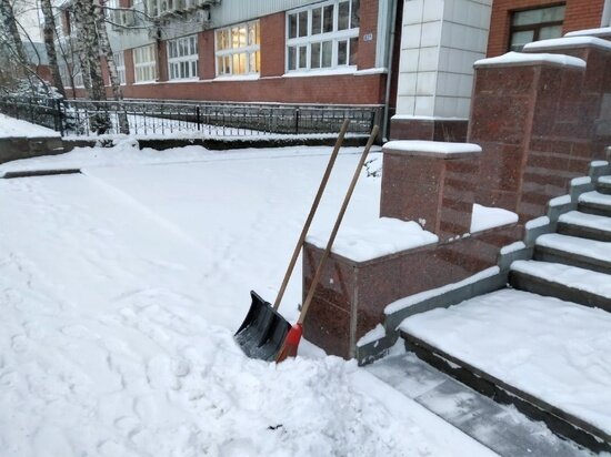     Фото: "МК в Томске"