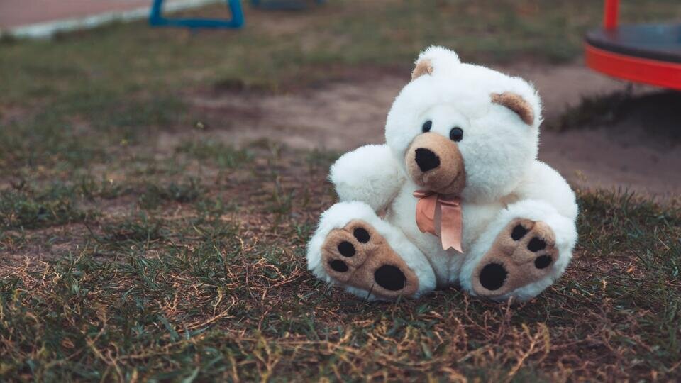 Фото: © Unsplash