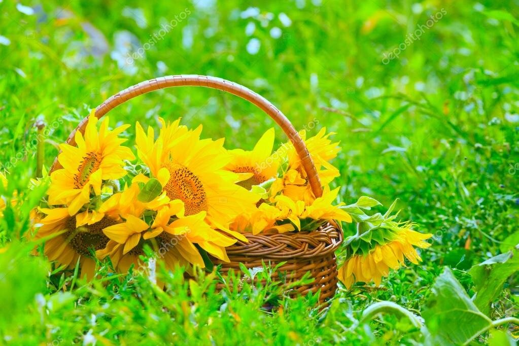                                              какие страсти бушевали у неё внутри