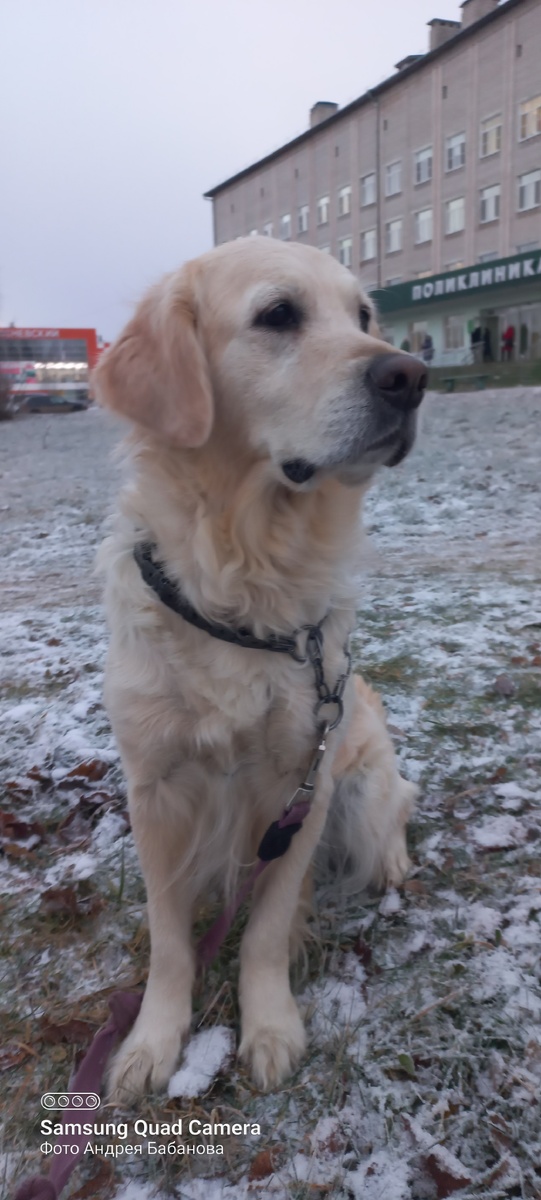 Изменилась?