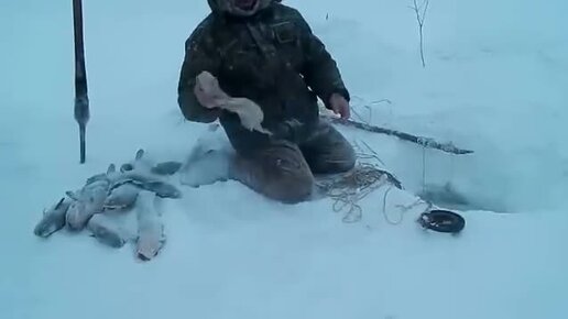 Это не диалоги о рыбалке последние видео