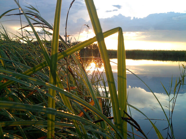 (из открытого источника)