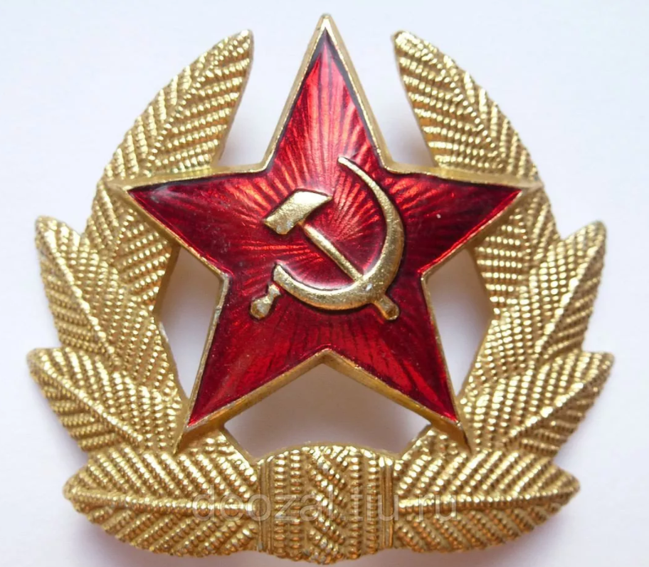 Фото с Яндекса. Кокарда.