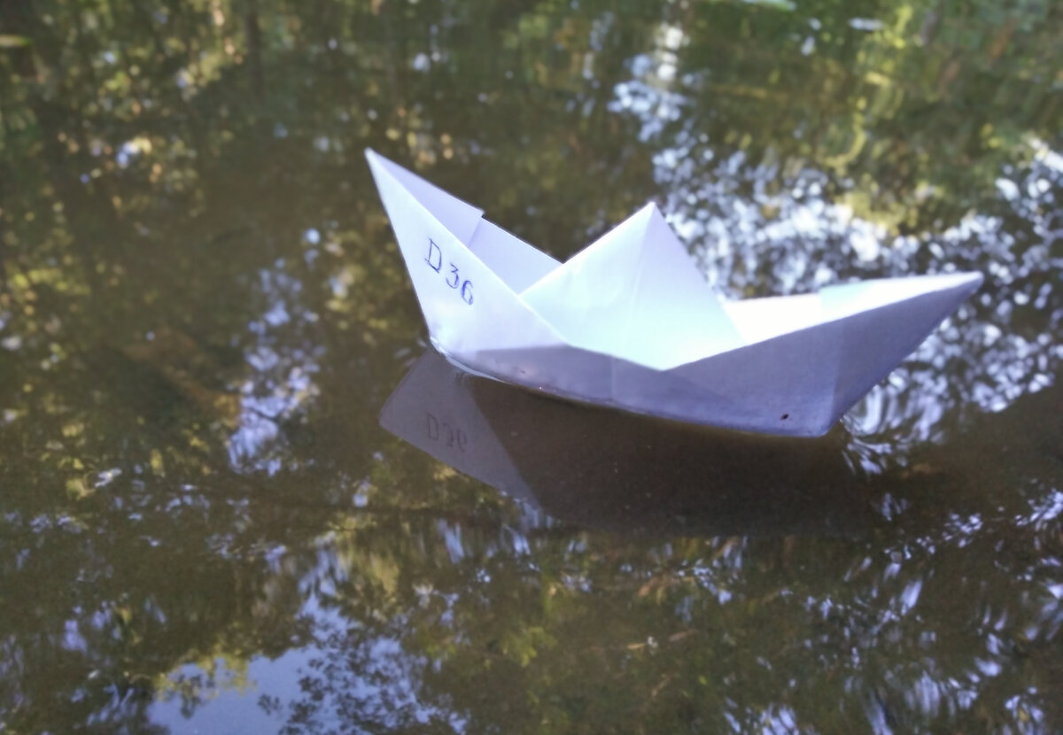 Королевский флот