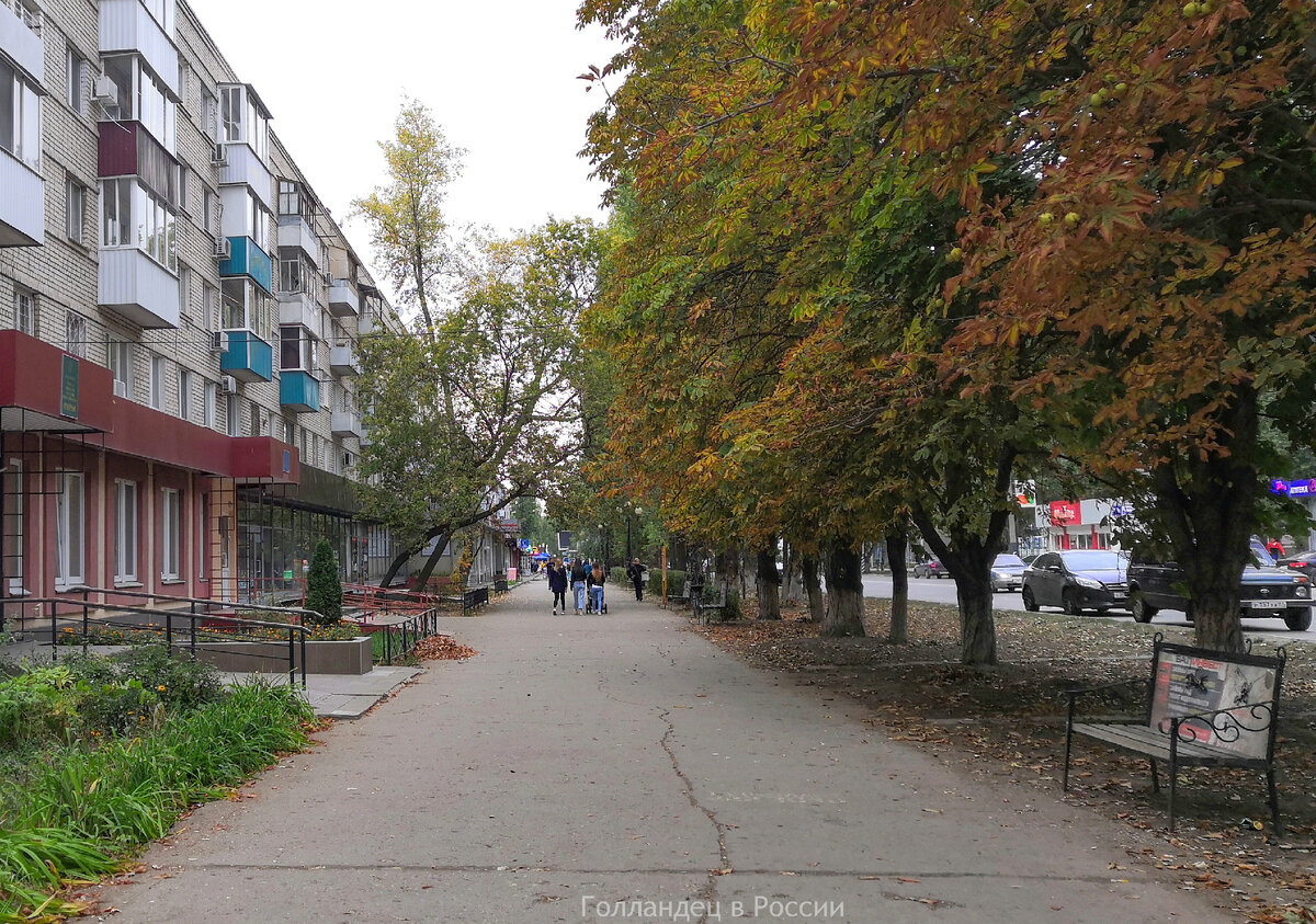 Деревья справа все крашенные в центре города. Зачем? Почему? Фото: из личного архива