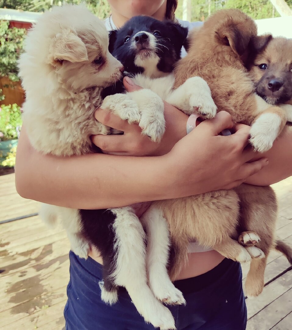 фото автора