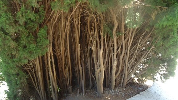 Сегодня уезжаем в парк Айвазовского, отличное место для отдыха с детьми. Во первых красивейшее место - жемчужина среди крымских достопримечательностей.-6