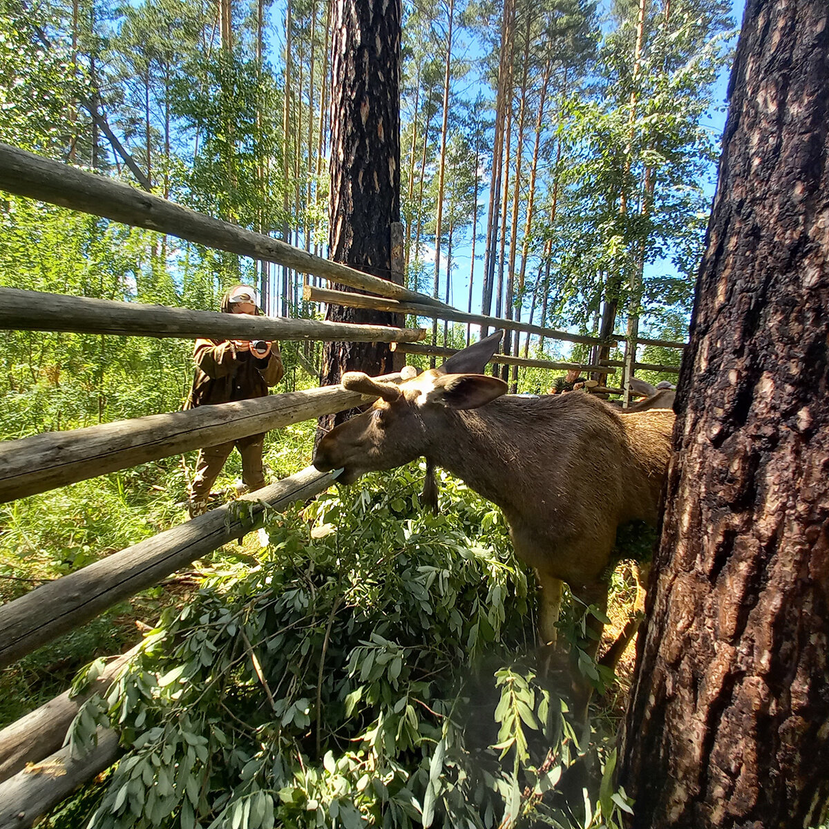 Фото: «Искры»