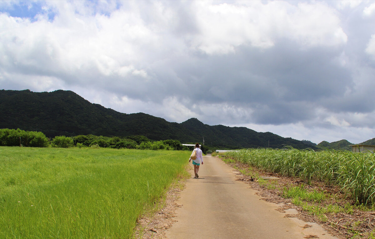  На острове Ishigaki