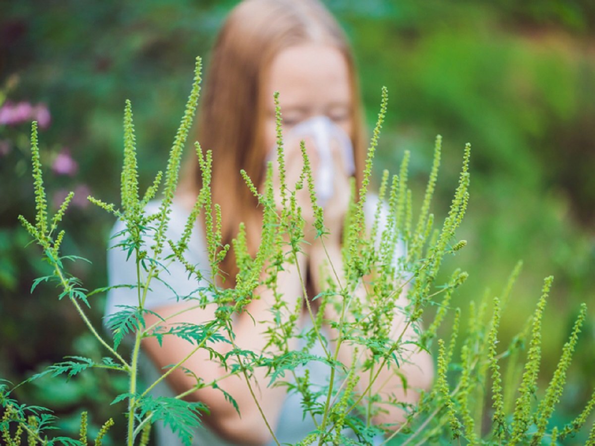 Источник Яндекс.Картинки