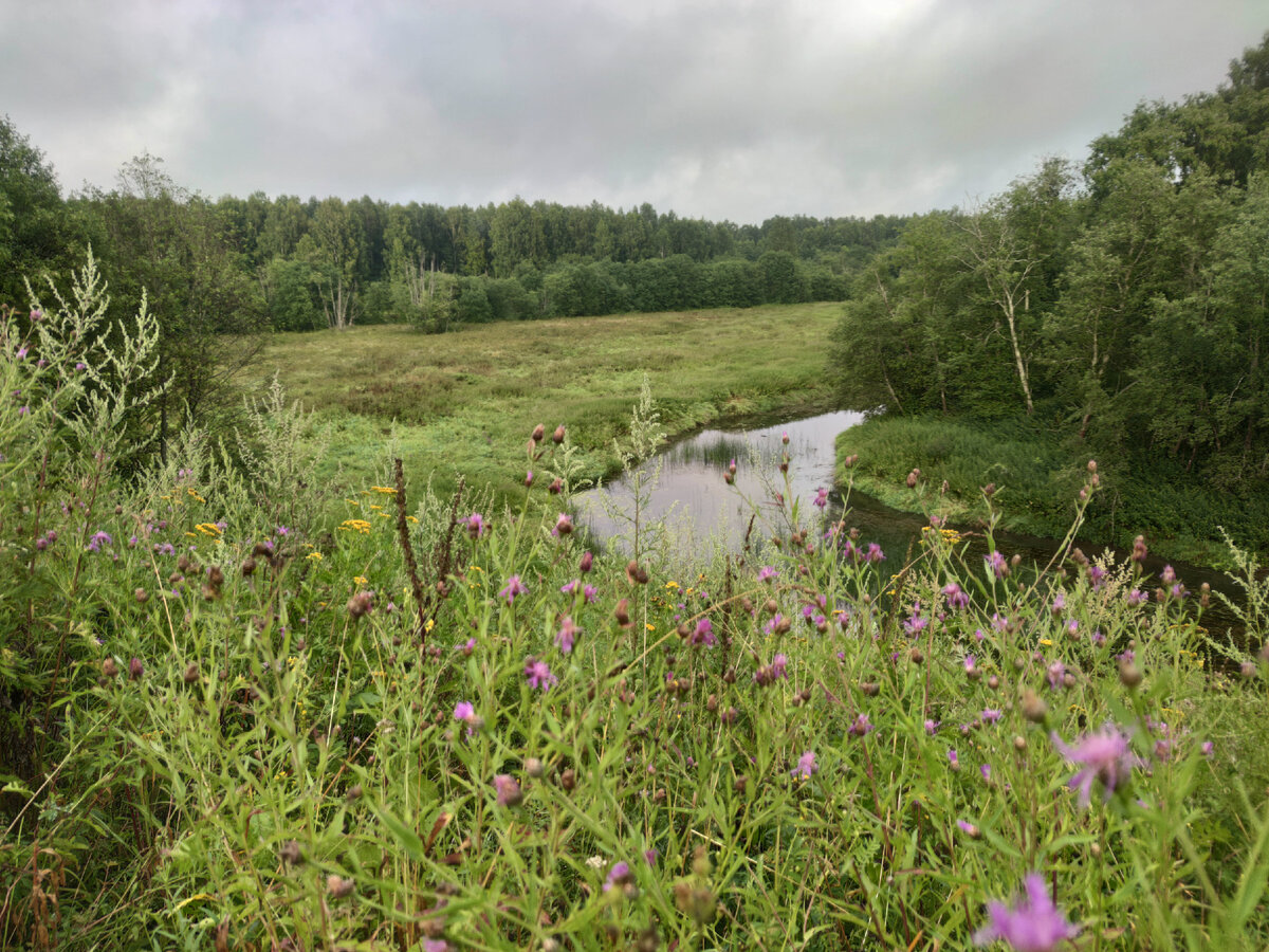 Река Днепр. Рыбалка на Днепре