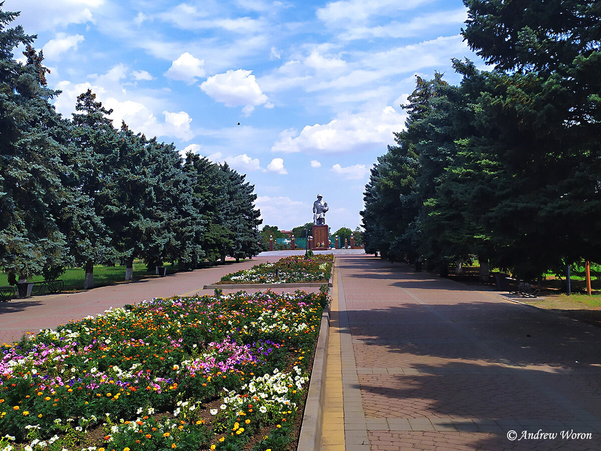 Центральная аллея парка. Вход со стороны ул. Володарского