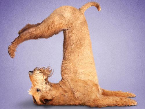 Комплекс упражнений для ног.