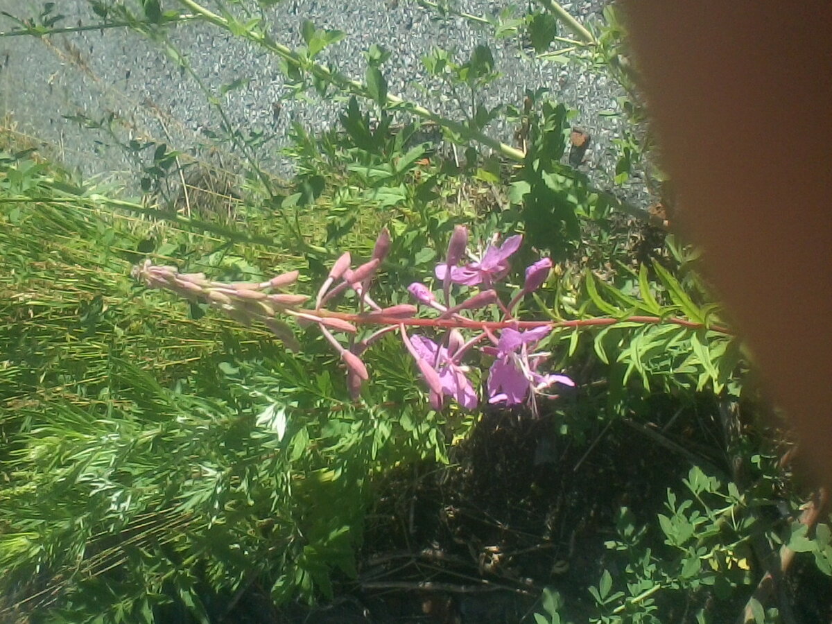 фото из личного архива