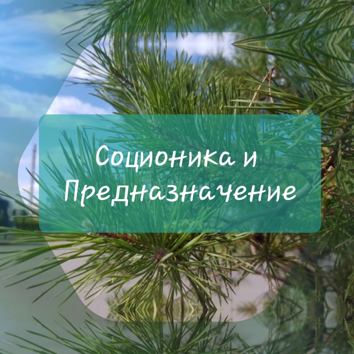 изображение автора
