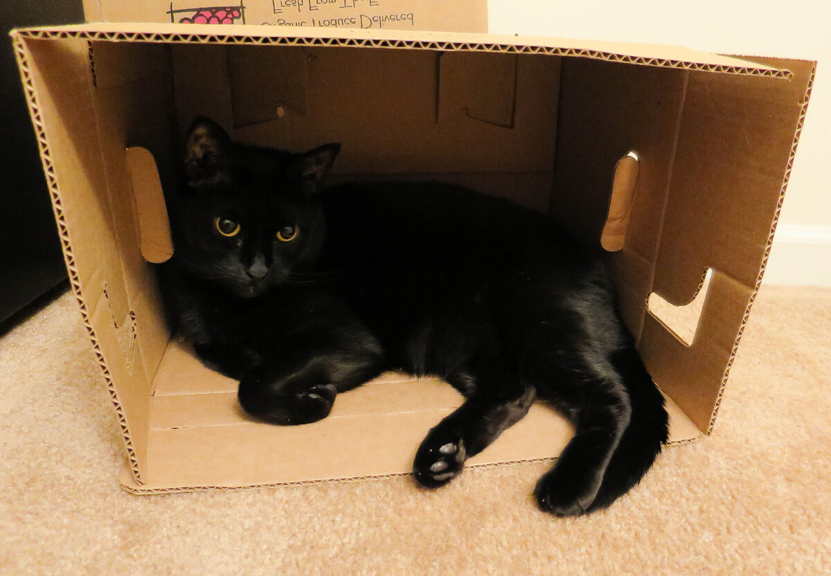 Фото из Интернета