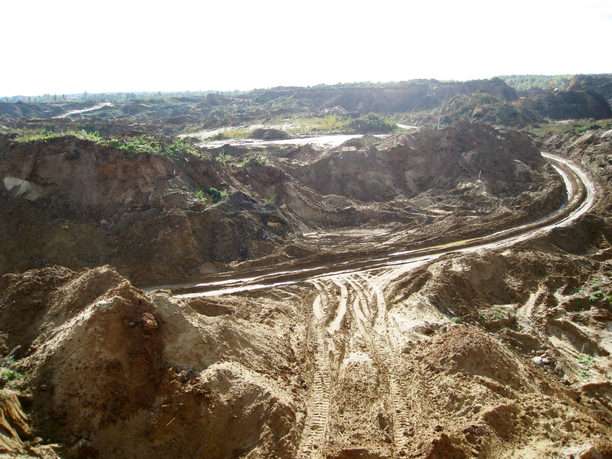 Вид на дальний лес