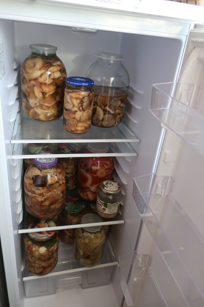Мои грибы, мое богатство!  Уже в новом холодильнике (фото И.Лебединского)