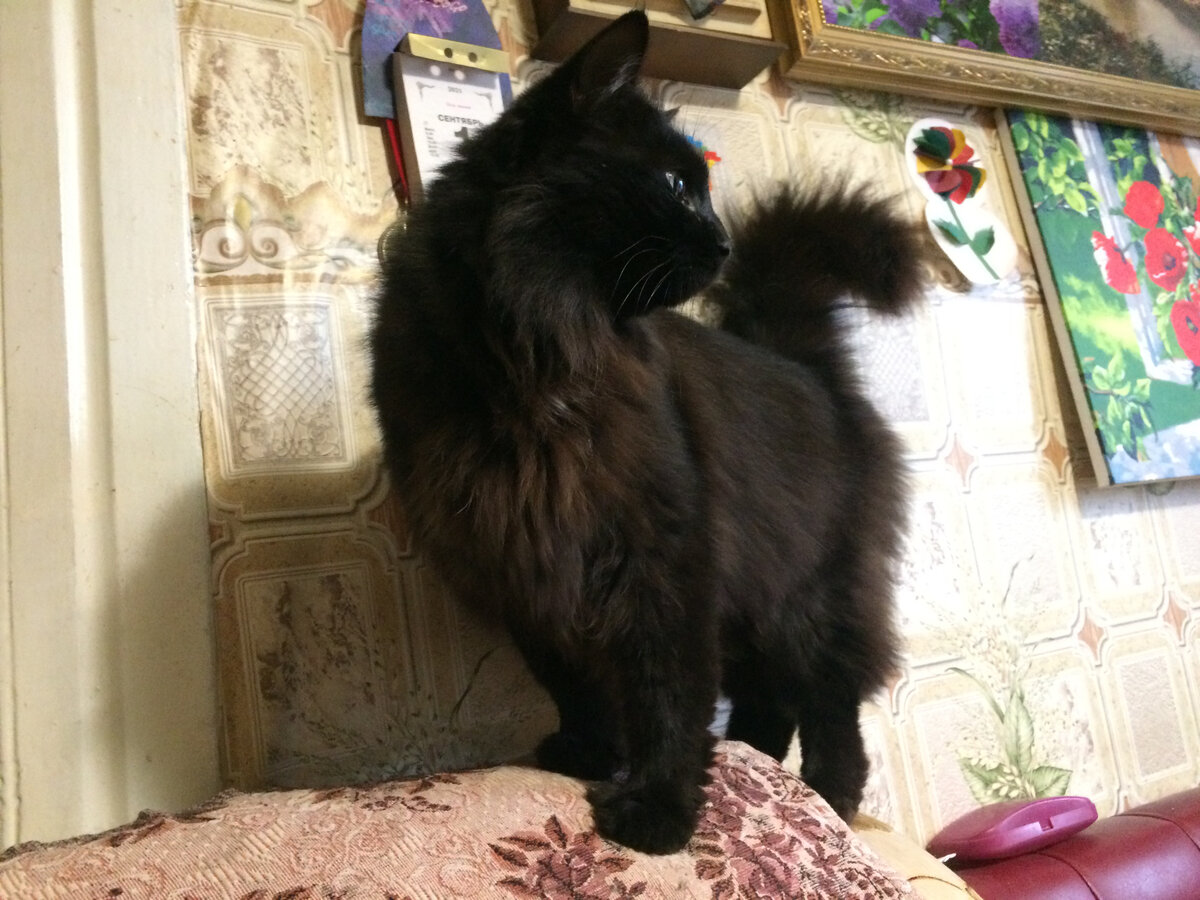 Мотя. Фото автора