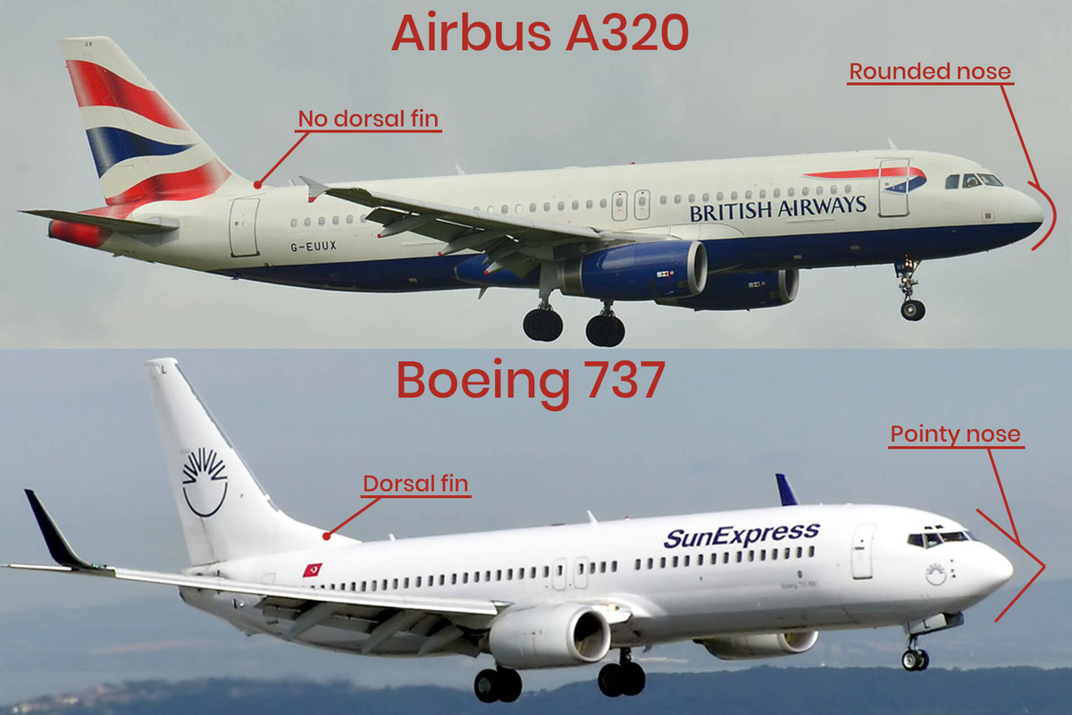 Боинг и аэробус. Airbus a320 и Boeing 737 отличия. Боинг 737 и Аэробус а320. А321 и Боинг 737. Боинг 320.