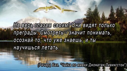 Цитаты о жизни и любви: 