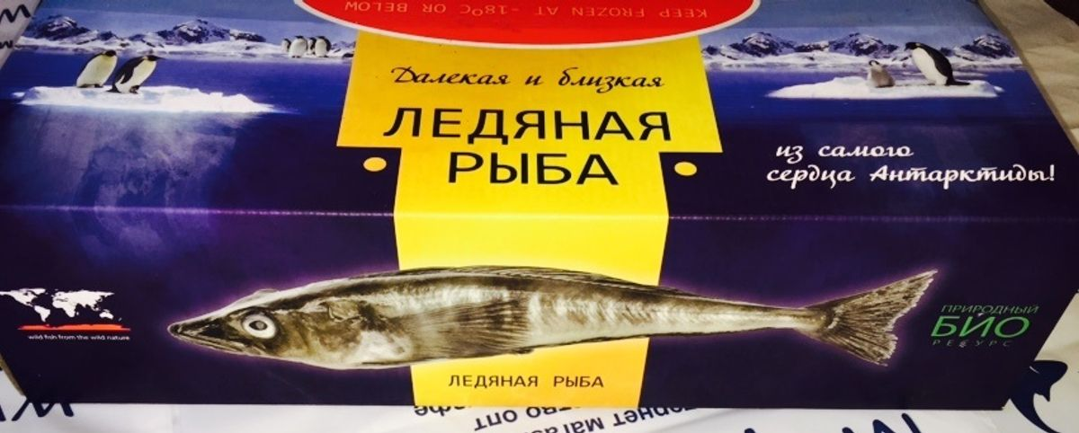Прошло, как не бывало: 3 сорта рыбы, пропавших с прилавков после распада СССР 