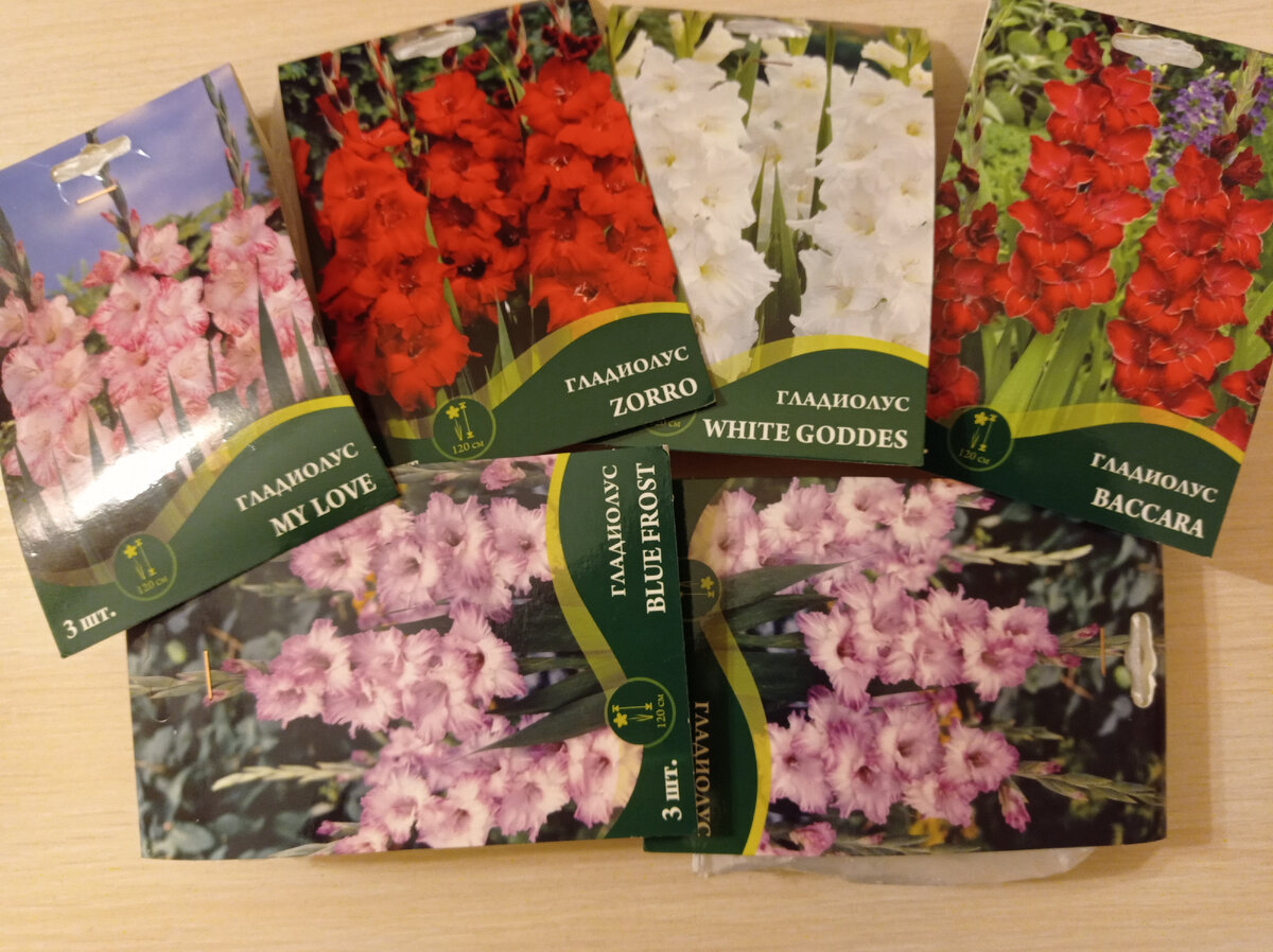 Вот такие сорта купила, их заявленная высота 120 см и на фото они все красивые. Листайте галерею