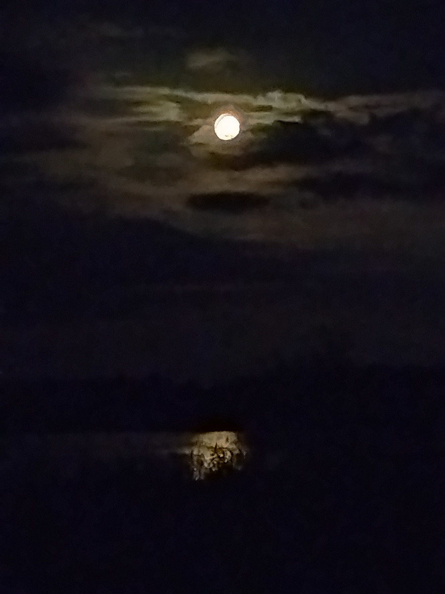 Фото из архива автора