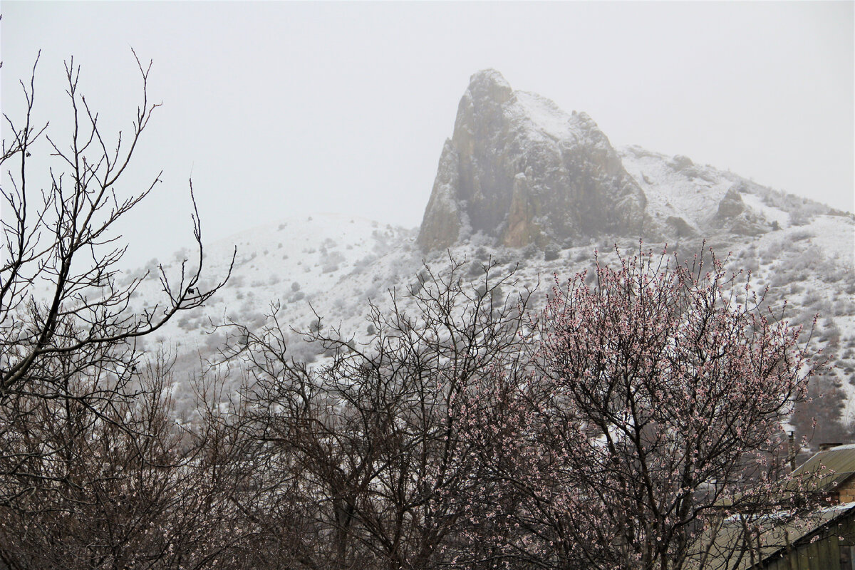 День весеннего 2022. Снег в Крыму. Цветение миндаля в Крыму. Март в горах.