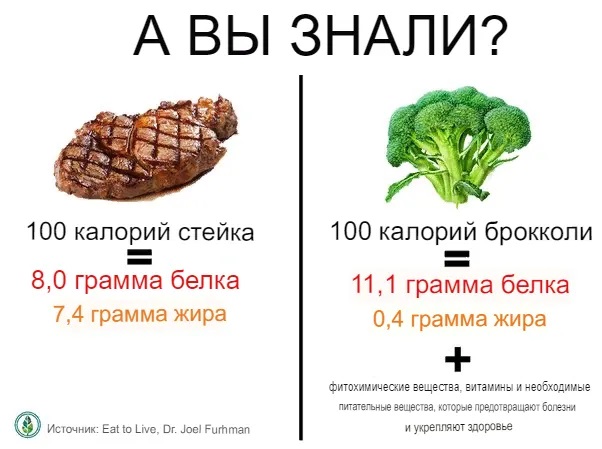Больше белка и меньше жира? Почему при пользе брокколи мы не сможем заменить ей животный белок0