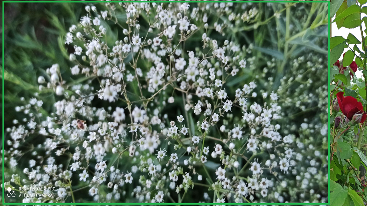 Ставьте, пожалуйста "Класс" и подписывайтесь на канал!!!