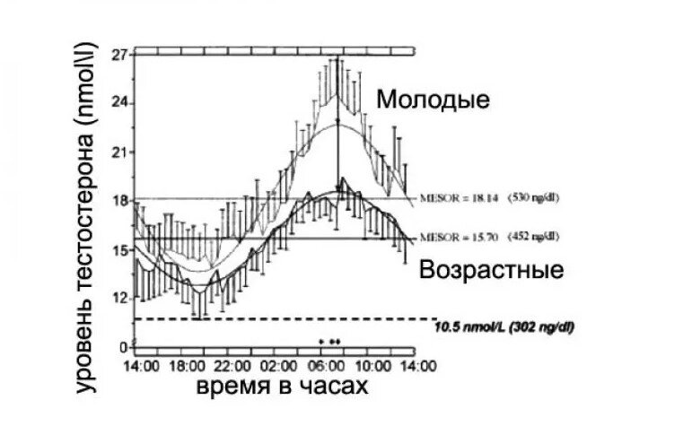 Суточные колебания тестостерона. Схема взята из учебника: "Иммунология" - Диатропов М.Е.