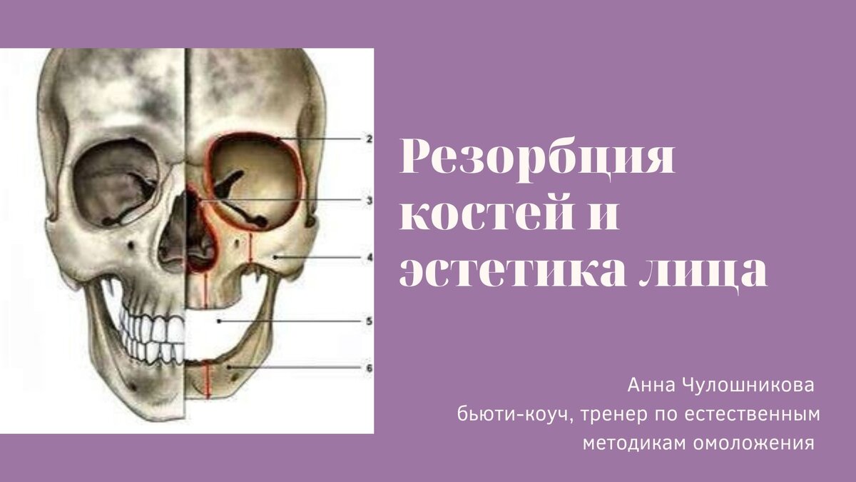 Где находится орбитальная кость фото За жизнь мы теряем 10 кг... ФейсБаланс Чулошникова Анна Дзен