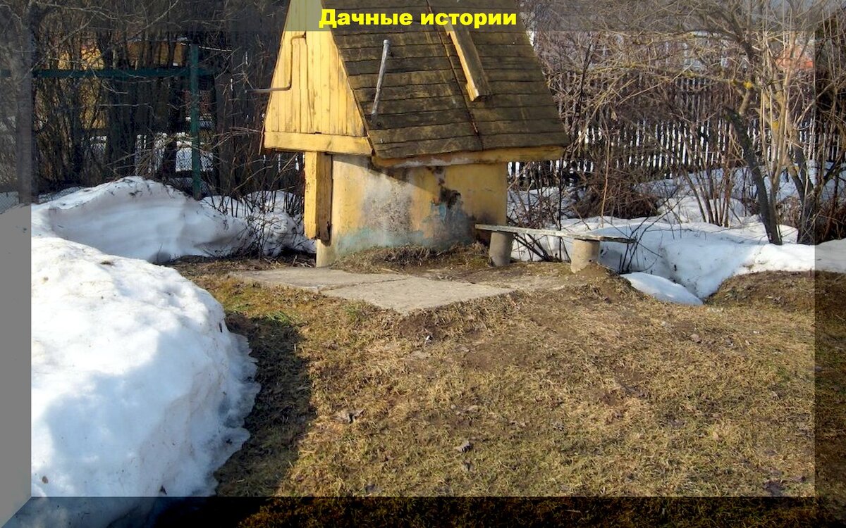 Выбор подкормки