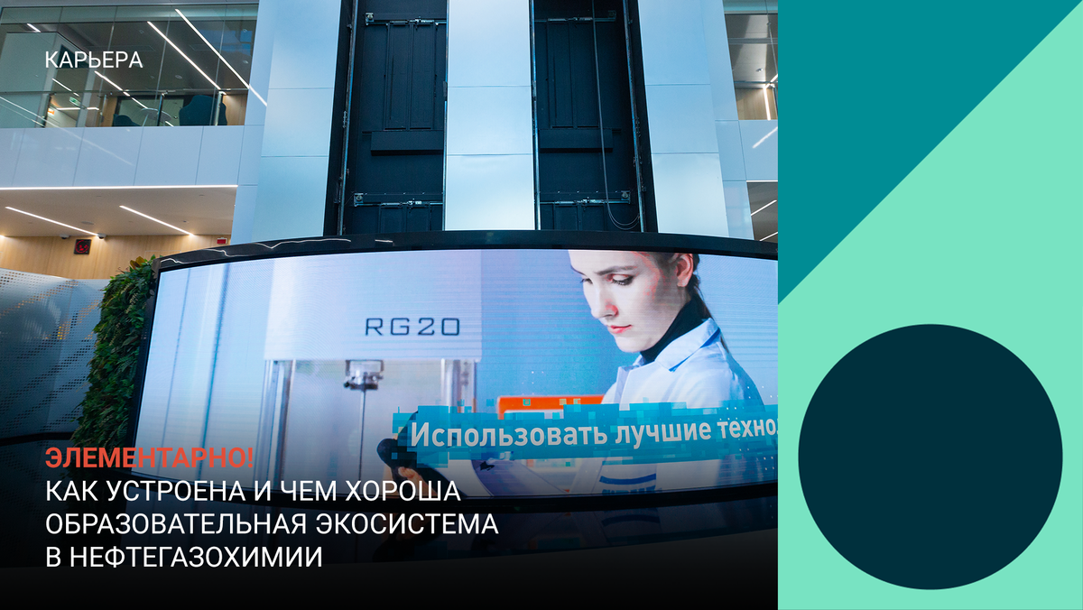 Элементарно! Как устроена и чем хороша образовательная экосистема в  нефтегазохимии | СИБУР | Дзен