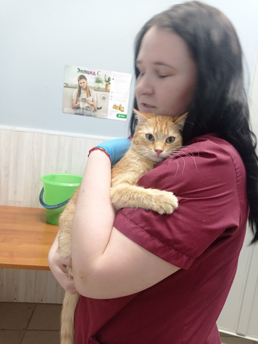 Полоскин