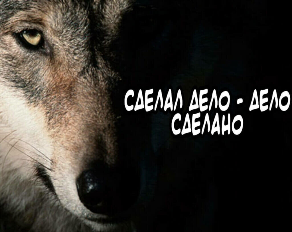 Некий бред из открытого доступа "Яндекс Картинки"