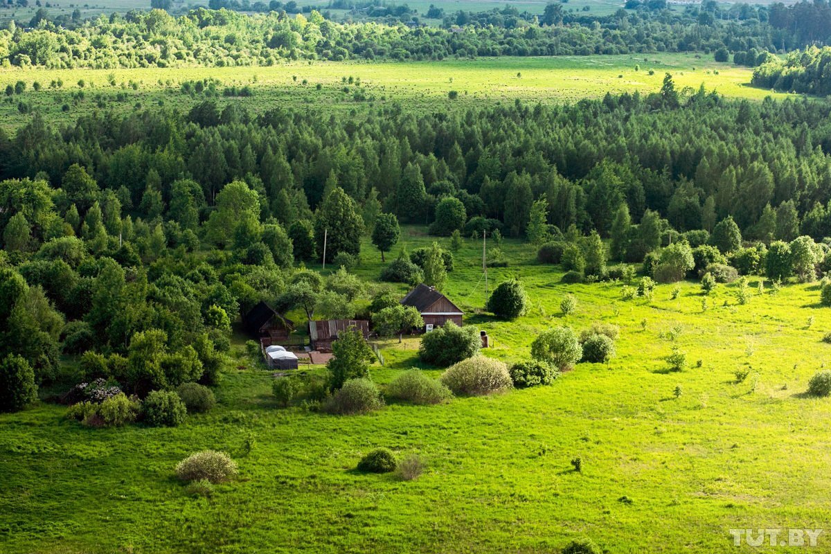 Лесной минская область